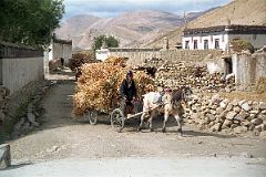 
Village Life In Peruche On The Way To Kharta Tibet
